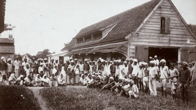 Archieffoto van Hindostaanse contractarbeiders in Suriname